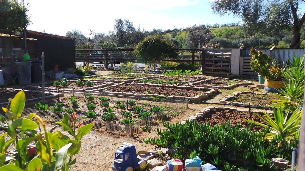 מלון מונקאראפאצ'ו Centre Algarve מראה חיצוני תמונה